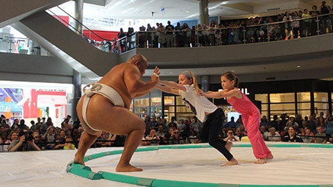 Mall of America Sumo Demo