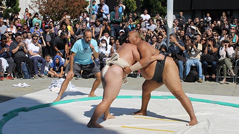 Japantown Sumo Demo